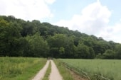 Forêt des Dhuits